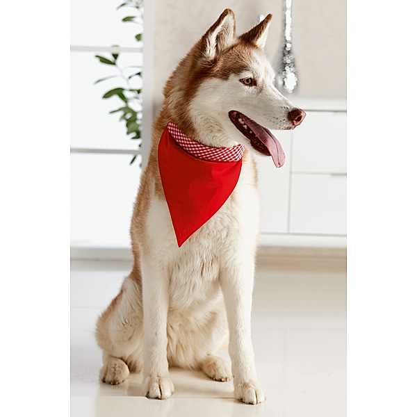 Hundehalstuch, rot/weiß (Größe: L)