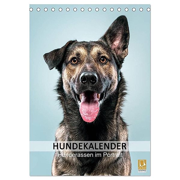 Hundekalender - Hunderassen im Portrait (Tischkalender 2025 DIN A5 hoch), CALVENDO Monatskalender, Calvendo, HIGHLIGHT.photo Maxi Sängerlaub