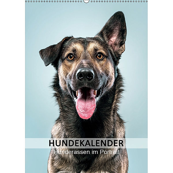 Hundekalender - Hunderassen im Portrait (Wandkalender 2019 DIN A2 hoch), Maxi Sängerlaub