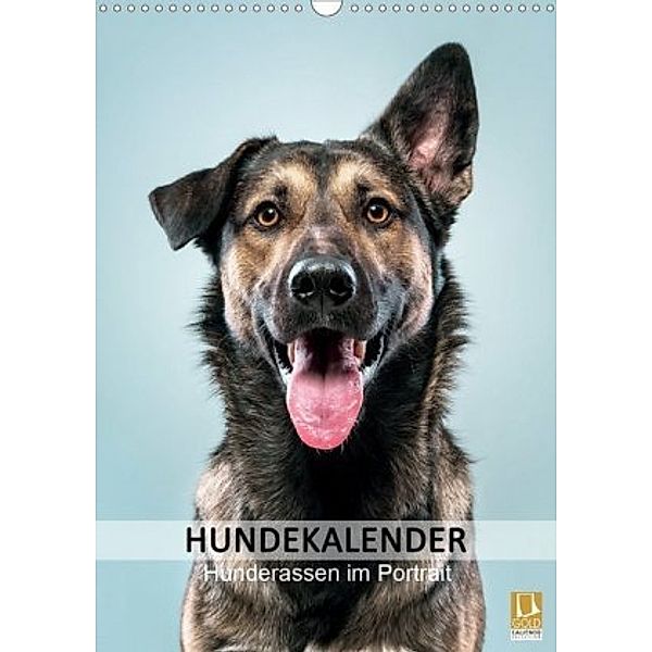 Hundekalender - Hunderassen im Portrait (Wandkalender 2020 DIN A3 hoch), Maxi Sängerlaub