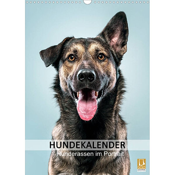Hundekalender - Hunderassen im Portrait (Wandkalender 2022 DIN A3 hoch), HIGHLIGHT.photo Maxi Sängerlaub