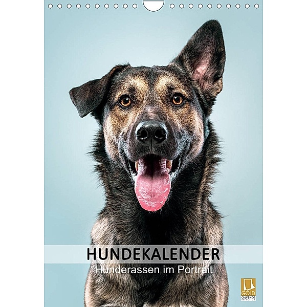 Hundekalender - Hunderassen im Portrait (Wandkalender 2023 DIN A4 hoch), HIGHLIGHT.photo Maxi Sängerlaub