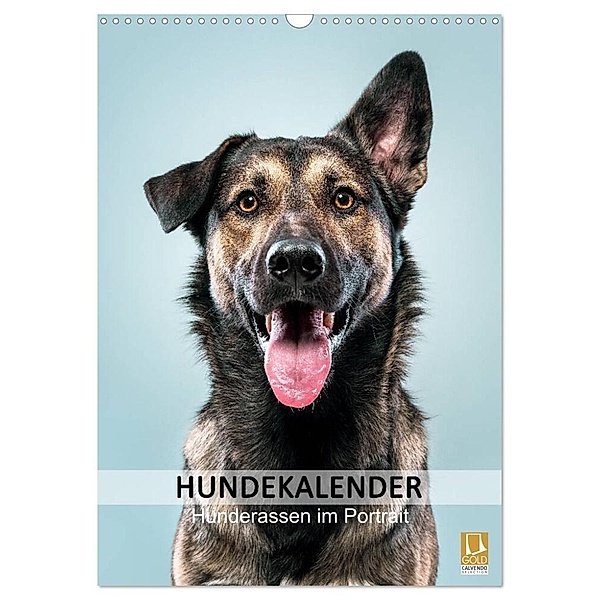Hundekalender - Hunderassen im Portrait (Wandkalender 2024 DIN A3 hoch), CALVENDO Monatskalender, HIGHLIGHT.photo Maxi Sängerlaub