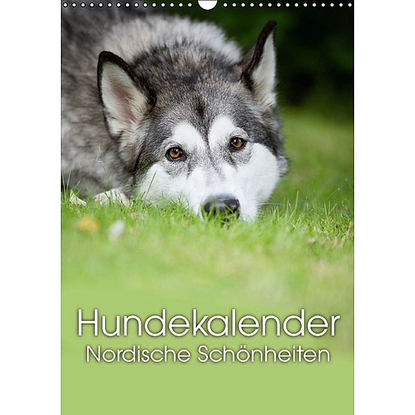 Hundekalender - Nordische Schönheiten (Wandkalender immerwährend DIN A3 hoch), Nicole Noack