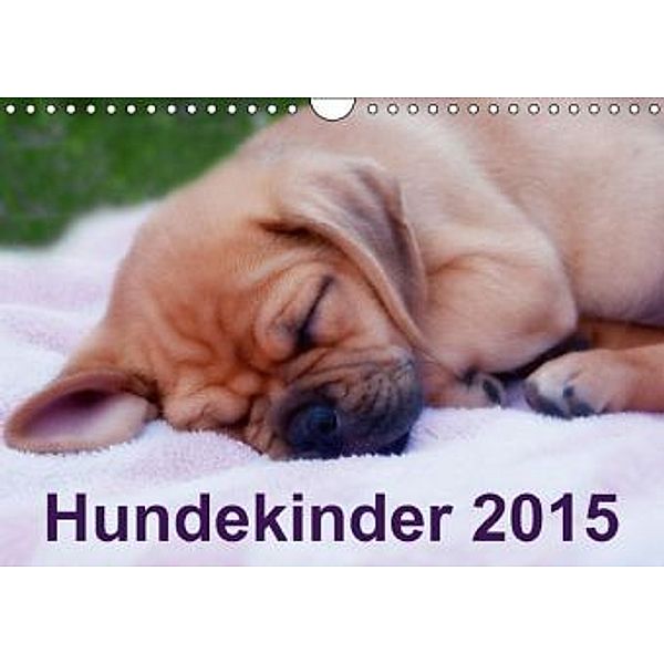 Hundekinder 2015 (Wandkalender 2015 DIN A4 quer), Heidi Bollich