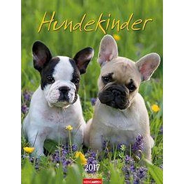 Hundekinder 2017