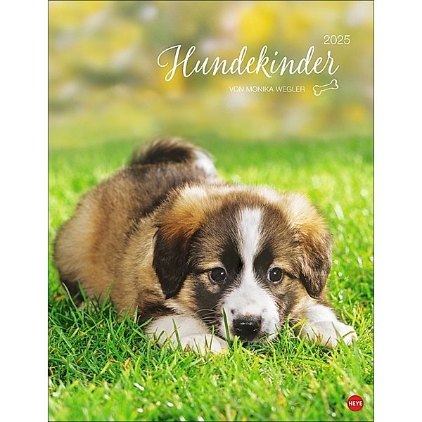 Hundekinder Posterkalender 2025