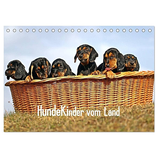 Hundekinder vom Land (Tischkalender 2024 DIN A5 quer), CALVENDO Monatskalender, Beatrice Müller