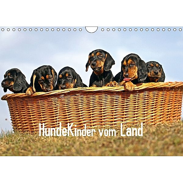 Hundekinder vom Land (Wandkalender 2018 DIN A4 quer), Beatrice Müller