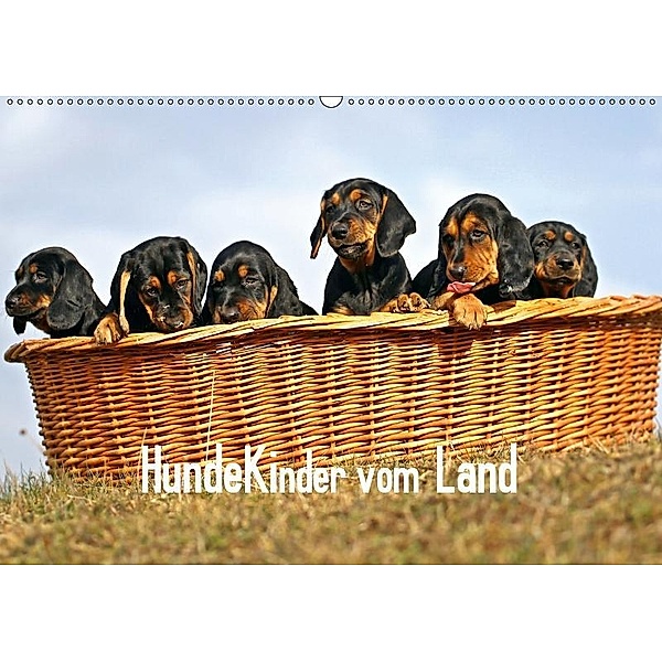 Hundekinder vom Land (Wandkalender 2019 DIN A2 quer), Beatrice Müller