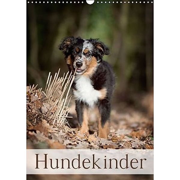 Hundekinder (Wandkalender 2016 DIN A3 hoch), Nicole Noack