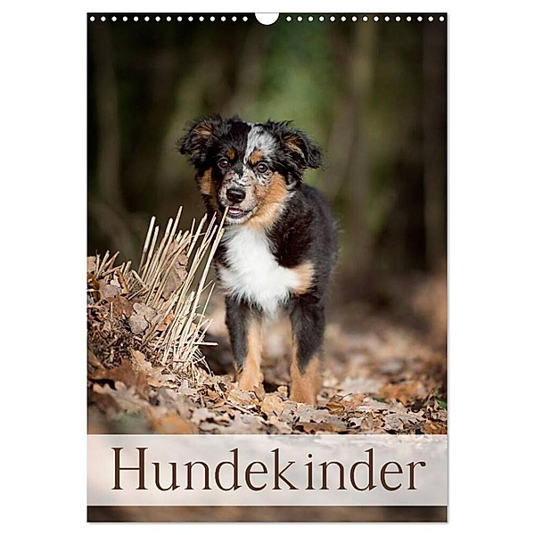 Hundekinder (Wandkalender 2024 DIN A3 hoch), CALVENDO Monatskalender, Nicole Noack