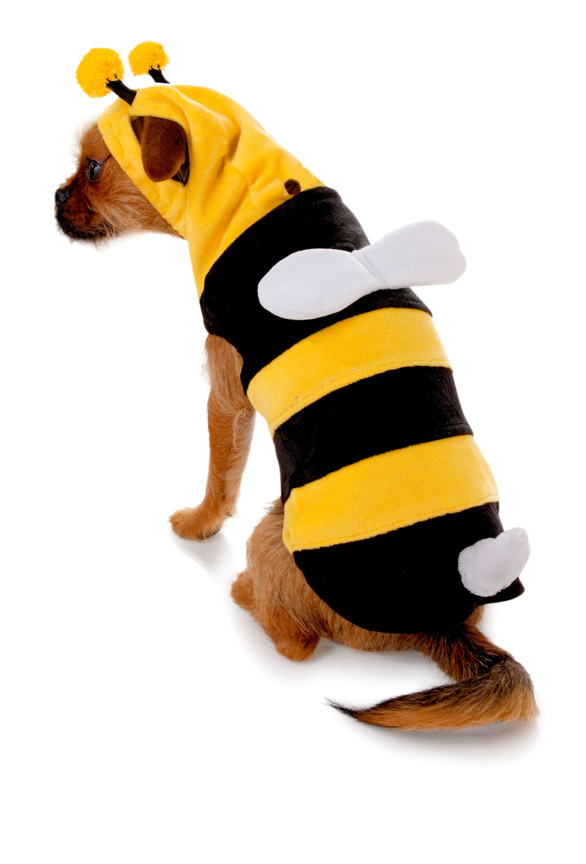 Hundekostüm Biene Größe: S jetzt bei Weltbild.de bestellen