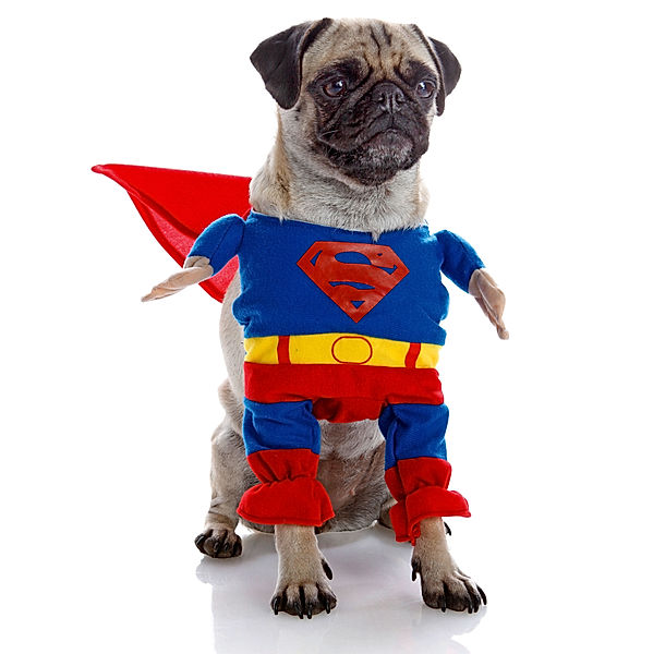 Hundekostüm Superman (Größe: S)