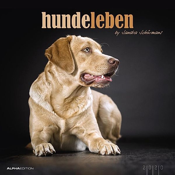 Hundeleben 2020, ALPHA EDITION