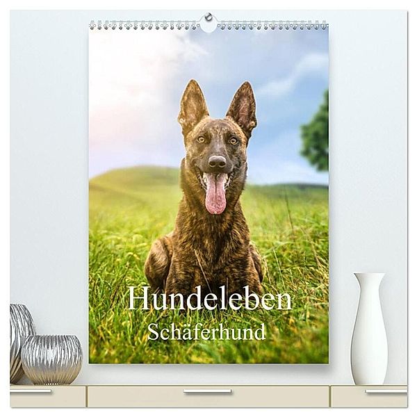 Hundeleben Schäferhund (hochwertiger Premium Wandkalender 2024 DIN A2 hoch), Kunstdruck in Hochglanz, Schuberts-Fotografie