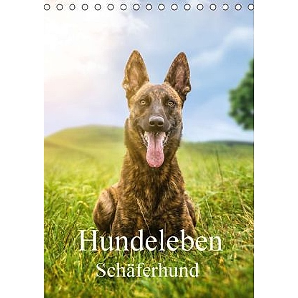 Hundeleben Schäferhund (Tischkalender 2016 DIN A5 hoch), Schuberts-Fotografie