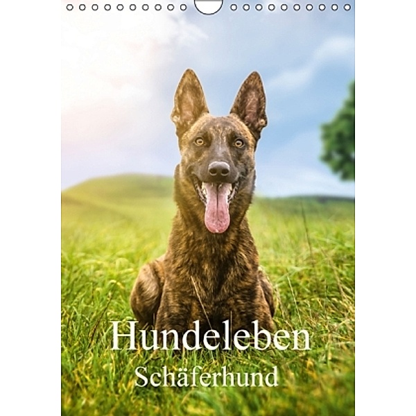 Hundeleben Schäferhund (Wandkalender 2016 DIN A4 hoch), Schuberts-Fotografie