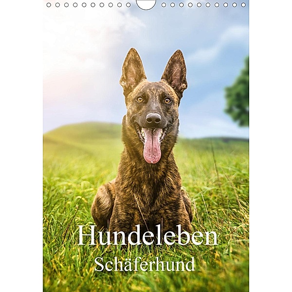 Hundeleben Schäferhund (Wandkalender 2020 DIN A4 hoch)