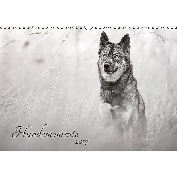 Hundemomente 2017 (Wandkalender 2017 DIN A3 quer), Janice Pohle