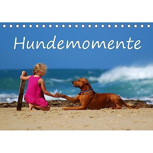 Hundemomente (Tischkalender 2017 DIN A5 quer), Anke van Wyk - www.germanpix.net, Anke van Wyk