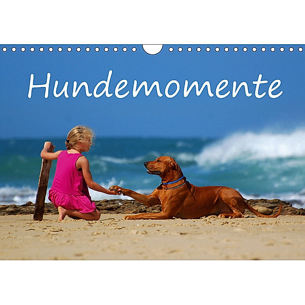 Hundemomente (Wandkalender 2019 DIN A4 quer), Anke van Wyk