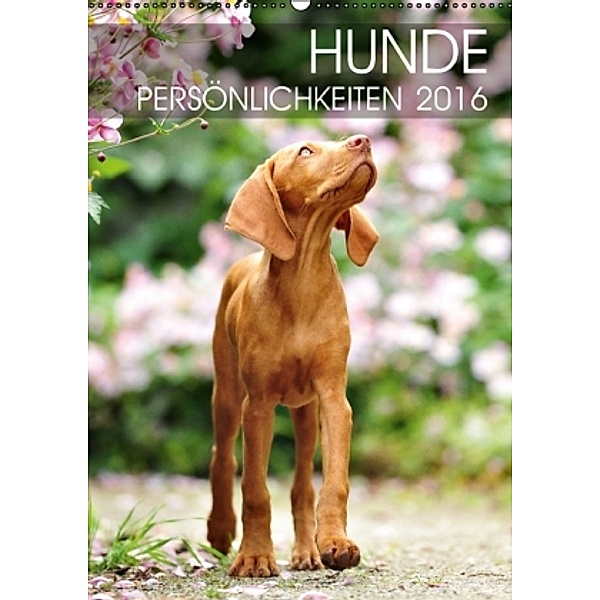 Hundepersönlichkeiten (Wandkalender 2016 DIN A2 hoch), dogARTig
