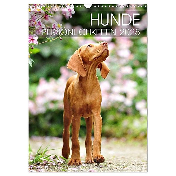 Hundepersönlichkeiten (Wandkalender 2025 DIN A3 hoch), CALVENDO Monatskalender, Calvendo, DogARTig