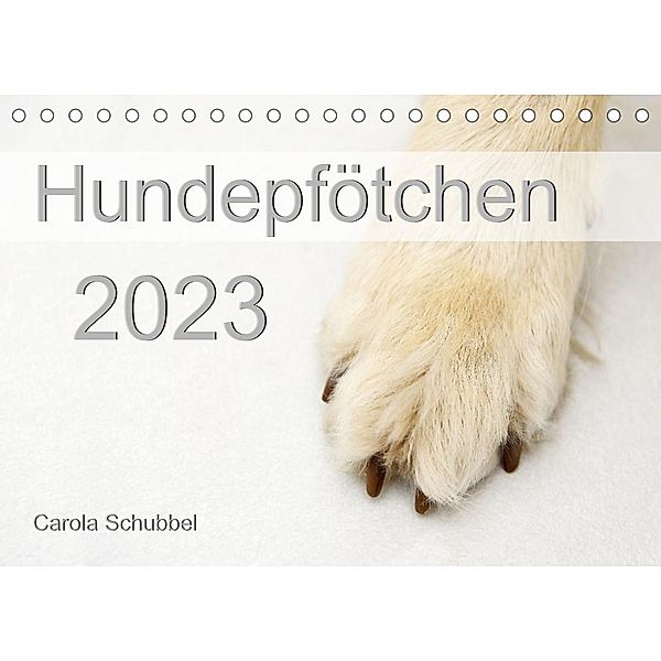 Hundepfötchen (Tischkalender 2023 DIN A5 quer), Carola Schubbel