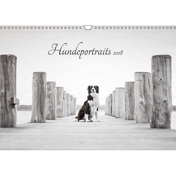 Hundeportraits 2018 (Wandkalender 2018 DIN A3 quer), Janice Pohle