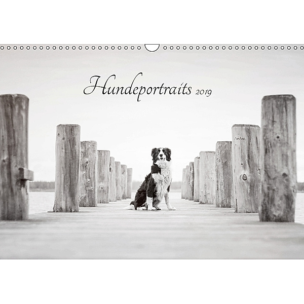 Hundeportraits 2019 (Wandkalender 2019 DIN A3 quer), Janice Pohle