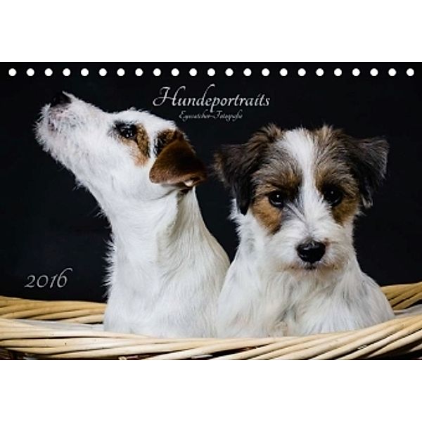 Hundeportraits Eyecatcher-Fotografie (Tischkalender 2016 DIN A5 quer), Christiane Heggemann