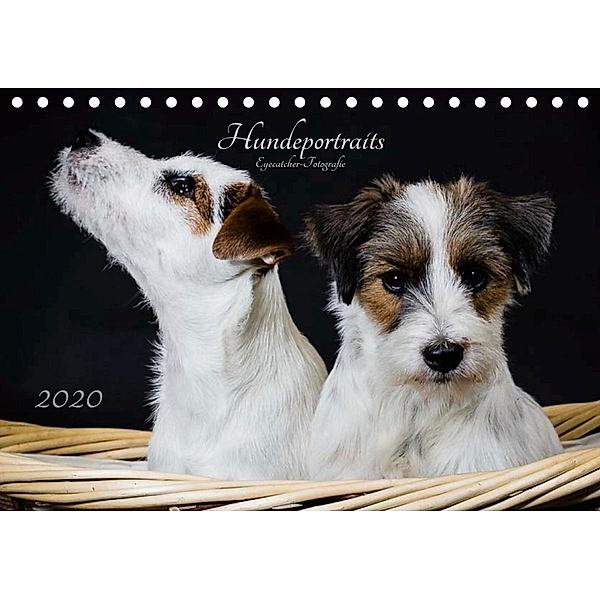 Hundeportraits Eyecatcher-Fotografie (Tischkalender 2020 DIN A5 quer), Christiane Heggemann