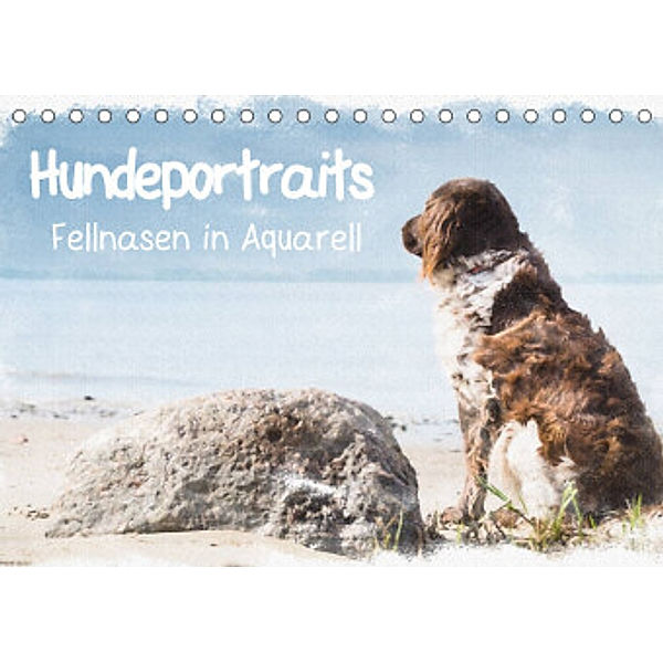 Hundeportraits - Fellnasen in Aquarell (Tischkalender 2022 DIN A5 quer), Sonja Teßen
