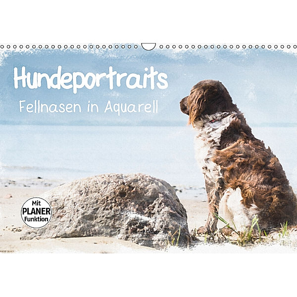 Hundeportraits - Fellnasen in Aquarell (Wandkalender 2019 DIN A3 quer), Sonja Teßen