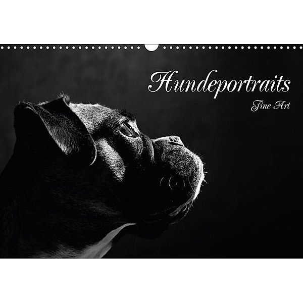 Hundeportraits Fine Art (Wandkalender 2017 DIN A3 quer), Jana Behr