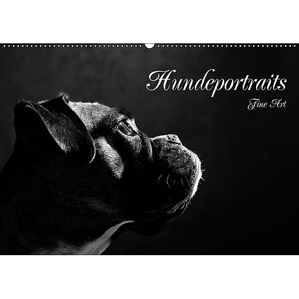 Hundeportraits Fine Art (Wandkalender 2019 DIN A2 quer), Jana Behr