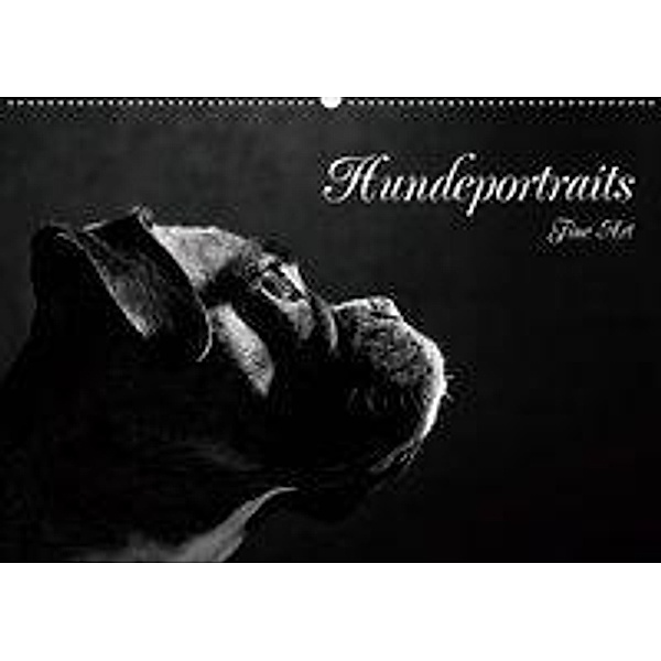 Hundeportraits Fine Art (Wandkalender 2020 DIN A2 quer), Jana Behr