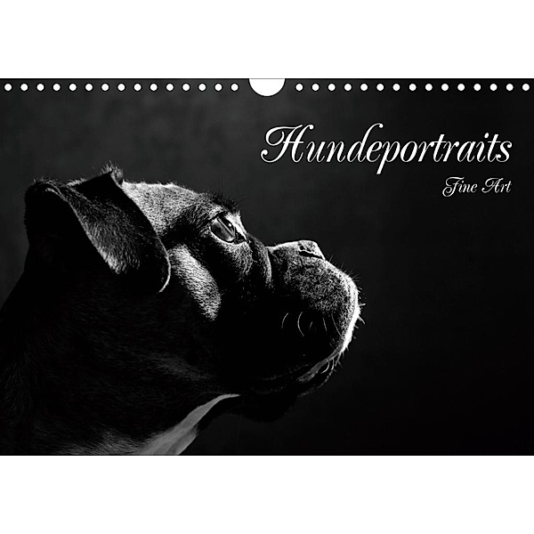 Hundeportraits Fine Art (Wandkalender 2020 DIN A4 quer), Jana Behr