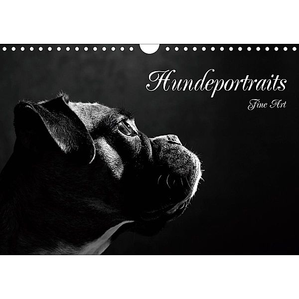 Hundeportraits Fine Art (Wandkalender 2021 DIN A4 quer), Jana Behr