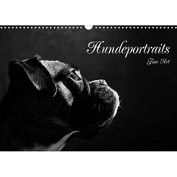 Hundeportraits Fine Art (Wandkalender 2022 DIN A3 quer), Jana Behr