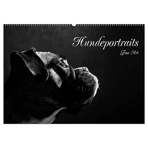 Hundeportraits Fine Art (Wandkalender 2024 DIN A2 quer), CALVENDO Monatskalender, Jana Behr