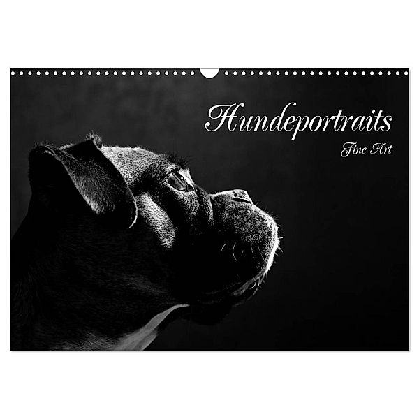 Hundeportraits Fine Art (Wandkalender 2024 DIN A3 quer), CALVENDO Monatskalender, Jana Behr