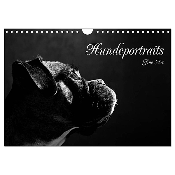 Hundeportraits Fine Art (Wandkalender 2024 DIN A4 quer), CALVENDO Monatskalender, Jana Behr