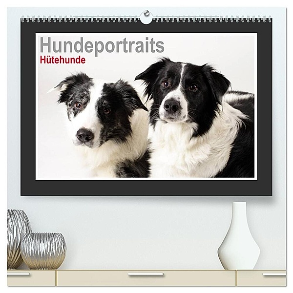 Hundeportraits - Hütehunde (hochwertiger Premium Wandkalender 2024 DIN A2 quer), Kunstdruck in Hochglanz, Jasmin Hahn
