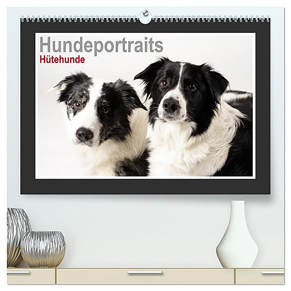 Hundeportraits - Hütehunde (hochwertiger Premium Wandkalender 2025 DIN A2 quer), Kunstdruck in Hochglanz, Calvendo, Jasmin Hahn