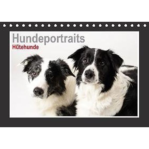 Hundeportraits - Hütehunde (Tischkalender 2017 DIN A5 quer), Jasmin Hahn