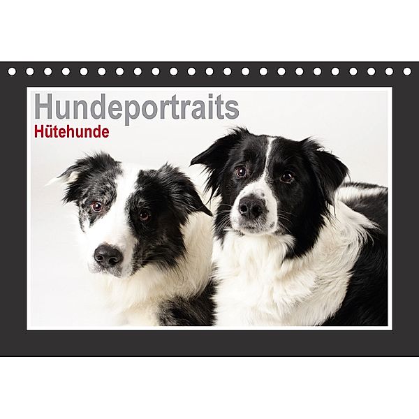 Hundeportraits - Hütehunde (Tischkalender 2018 DIN A5 quer), Jasmin Hahn