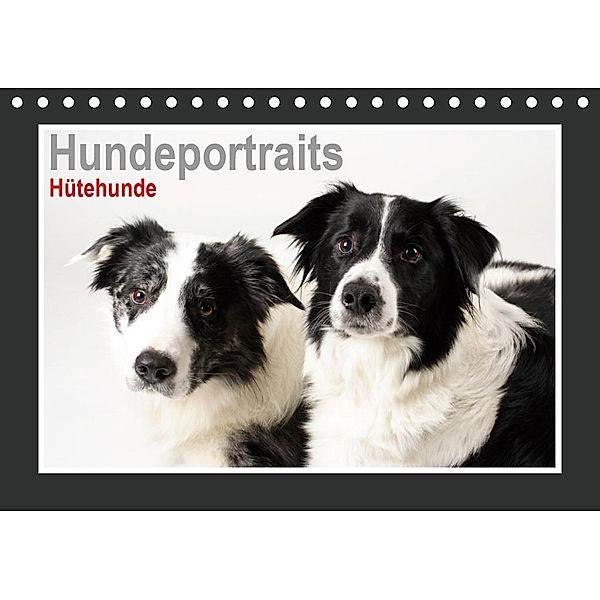 Hundeportraits - Hütehunde (Tischkalender 2020 DIN A5 quer), Jasmin Hahn