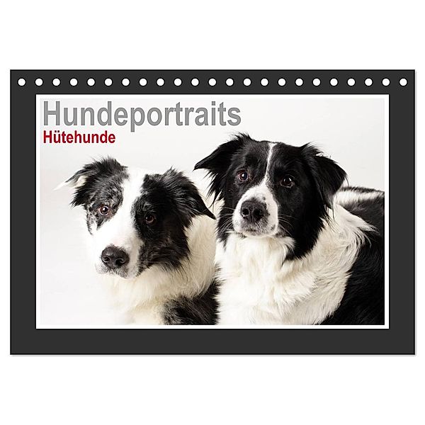 Hundeportraits - Hütehunde (Tischkalender 2024 DIN A5 quer), CALVENDO Monatskalender, Jasmin Hahn